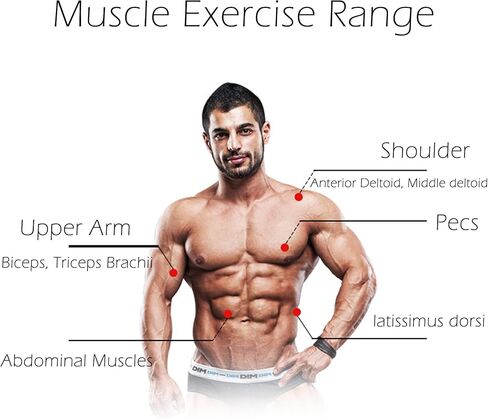 Abdominal Wheel Roller with Resistance Spring, 14.6"W Automatic Rebound Exercise Strength-Training Roller, Core Work-out Fitness Wheels with Knee Pad in Kuwait