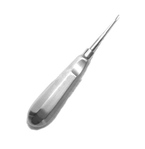 OdontoMed2011 Dental Root Elevators No. 301 Stainless Steel in Saudi Arabia