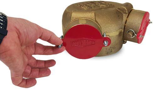 Dixon 2 1/2" Aluminum FDC Breakable Cap Inlet Connections ABC250 (Pack of 2) in Kuwait