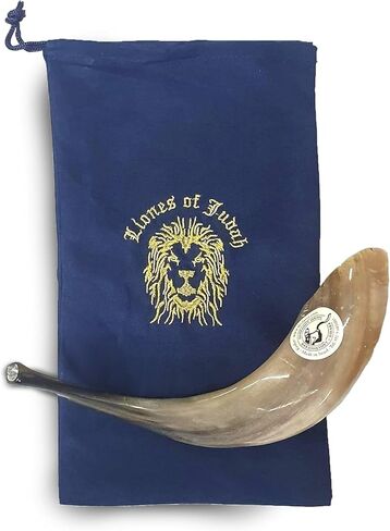 Special Polished Extraordinary Kosher Rams Horn Shofar 12"-14", Handcrafted in Israel by Shofarot Israel Factory - 100% Kosher With Free Shofar Bag in Saudi Arabia