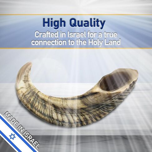Kosher Rams Horn Shofar 17"-19" Half-Polished | Authentic Shofar Horn Jericho Type | Jewish Ram Horn Blowing Horn from Israel in Saudi Arabia