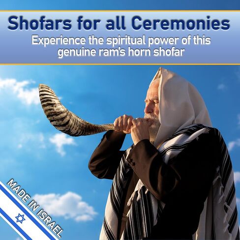 Kosher Rams Horn Shofar 17"-19" Half-Polished | Authentic Shofar Horn Jericho Type | Jewish Ram Horn Blowing Horn from Israel in Saudi Arabia