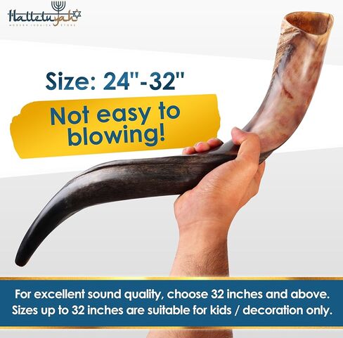 28"-32" قرن كودو شوفار من إسرائيل مع حامل مزخرف من هللوياه in Kuwait
