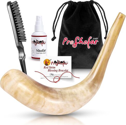 Polished Ram Shofar Set in Kuwait