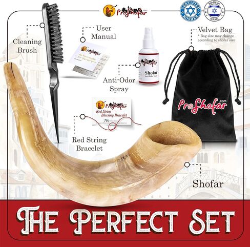 Polished Ram Shofar Set in Kuwait