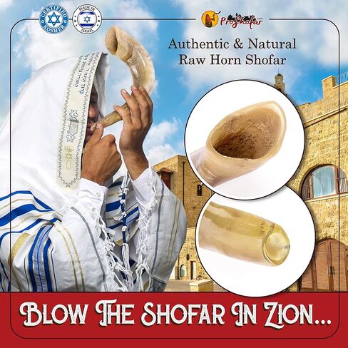 Polished Ram Shofar Set in Kuwait
