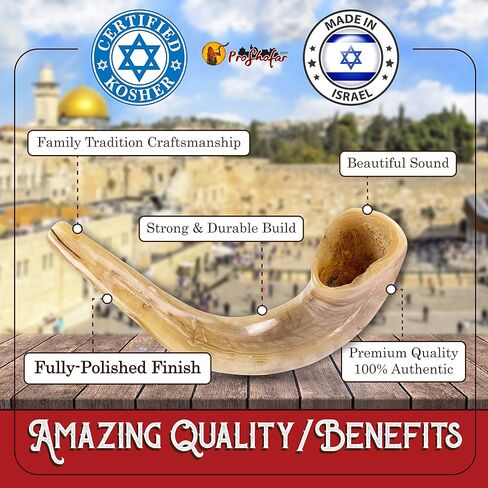 Polished Ram Shofar Set in Kuwait