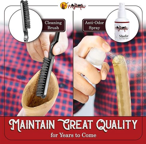 Polished Ram Shofar Set in Kuwait