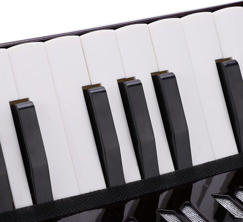 أكورديون البيانو، أكورديون صغير 17 مفتاح، أكورديون صغير 8 باس مع الأشرطة، أداة تدريب إيقاع لوحة المفاتيح للمبتدئين، الممارسة والآلات الموسيقية التعليمية (أسود) in Kuwait