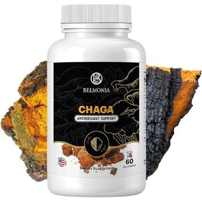 Chaga Mushroom Gummies — Antioxidant Immune Support Supplement - Dietary Mushroom Supplement - 60 Gummies - Made in USA - Shrooms for Health - Organic Vegan Frendly in Saudi Arabia