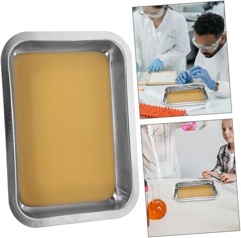 2pcs Anatomy Tray Dissecting Tray Stainless Steel Lab Metal Stainless Small Medical Instrument Metal Lab Laboratory Instruments Dissecting Plate Khaki Wax in Saudi Arabia