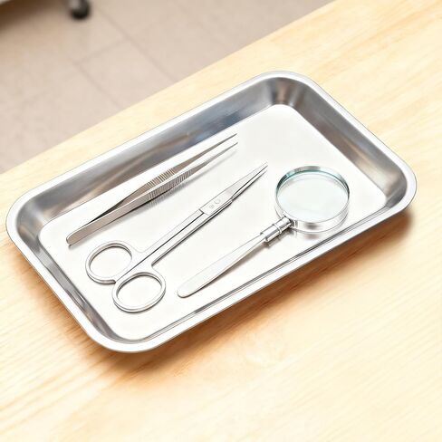 20 Pack Stainless Steel Surgical Tray, 8.8 x 4.6 x 0.8 Inch Small Metal Tray, Lab Tattoo Instrument Tools Trays for Bathroom Daily Supplies Organizer, Silver in Saudi Arabia