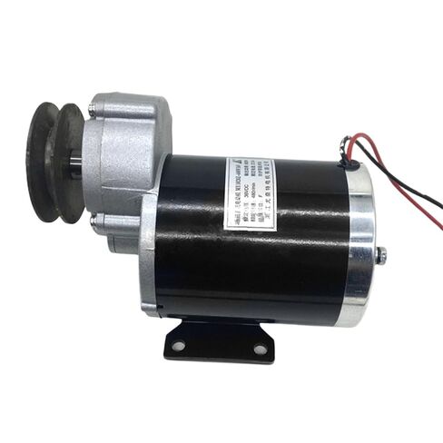 600w 36V 48V Belt Pulley Gear Motor, Motor Electric Tricycle, DC Gear Brushed Motor, Electric Bicycle Motor, MY1020Z(36V) in Saudi Arabia