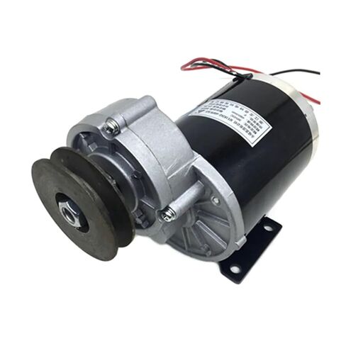 600w 36V 48V Belt Pulley Gear Motor, Motor Electric Tricycle, DC Gear Brushed Motor, Electric Bicycle Motor, MY1020Z(36V) in Saudi Arabia