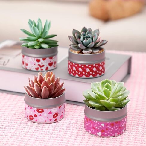 Scented Candle Gifts for Teachers, Teacher Appreciation Aromatherapy Candles for Home Natural Soy Wax Fragrance Candle for Women Thank You Teacher Back to School Retirement Gifts 4 Packs 4.4 oz in Kuwait