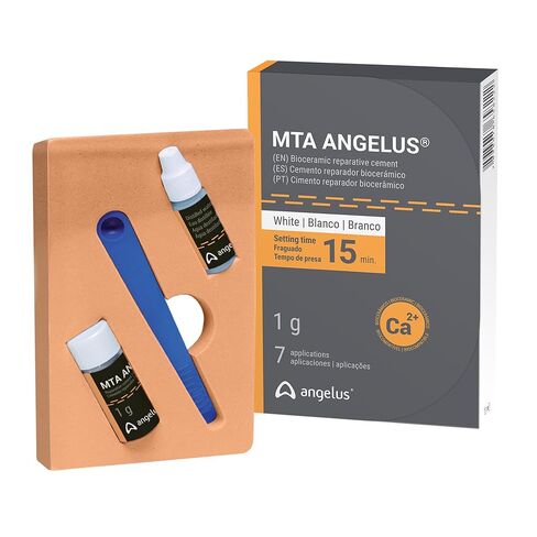 Angelus 822 MTA White Reparative Dental Cement 1gm Vial 3mL Distilled Water in Kuwait