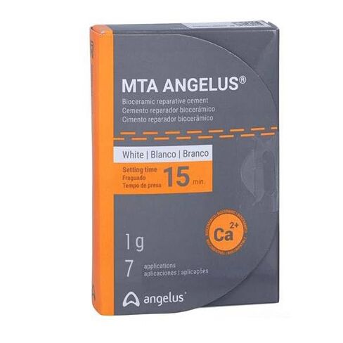 Angelus 822 MTA White Reparative Dental Cement 1gm Vial 3mL Distilled Water in Kuwait