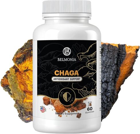 Chaga Mushroom Gummies — Antioxidant Immune Support Supplement - Dietary Mushroom Supplement - 60 Gummies - Made in USA - Shrooms for Health - Organic Vegan Frendly in Saudi Arabia