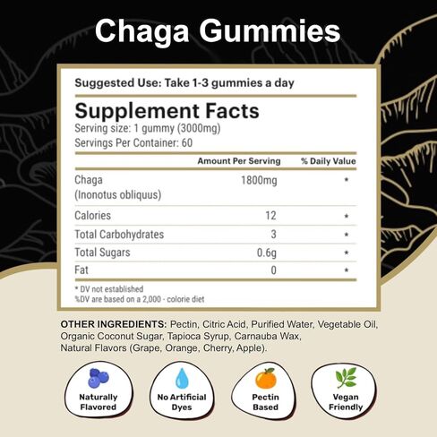 Chaga Mushroom Gummies — Antioxidant Immune Support Supplement - Dietary Mushroom Supplement - 60 Gummies - Made in USA - Shrooms for Health - Organic Vegan Frendly in Saudi Arabia