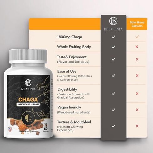 Chaga Mushroom Gummies — Antioxidant Immune Support Supplement - Dietary Mushroom Supplement - 60 Gummies - Made in USA - Shrooms for Health - Organic Vegan Frendly in Saudi Arabia