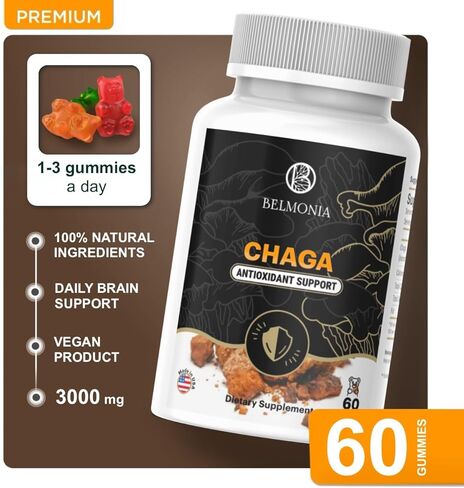 Chaga Mushroom Gummies — Antioxidant Immune Support Supplement - Dietary Mushroom Supplement - 60 Gummies - Made in USA - Shrooms for Health - Organic Vegan Frendly in Saudi Arabia