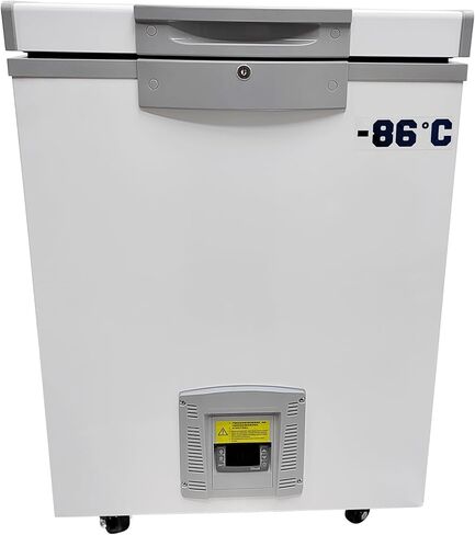 صندوق تخزين بدرجة حرارة منخفضة للغاية -86 درجة مئوية، ثلاجة مختبر سعة 28 لترًا، تحكم رقمي في درجة الحرارة، بطانة من الفولاذ المقاوم للصدأ 304 للمأكولات البحرية، العينات البيولوجية، المختبرات in Kuwait
