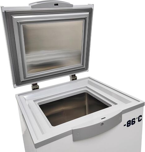 صندوق تخزين بدرجة حرارة منخفضة للغاية -86 درجة مئوية، ثلاجة مختبر سعة 28 لترًا، تحكم رقمي في درجة الحرارة، بطانة من الفولاذ المقاوم للصدأ 304 للمأكولات البحرية، العينات البيولوجية، المختبرات in Kuwait