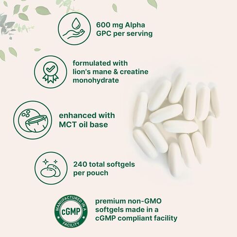 Micro Ingredients Alpha GPC 600mg per Serving with MCT Oil, 240 Softgels – Bioavailable Choline Supplement with Creatine Monohydrate & Lion’s Mane – Non‑GMO, cGMP Manufactured in Saudi Arabia