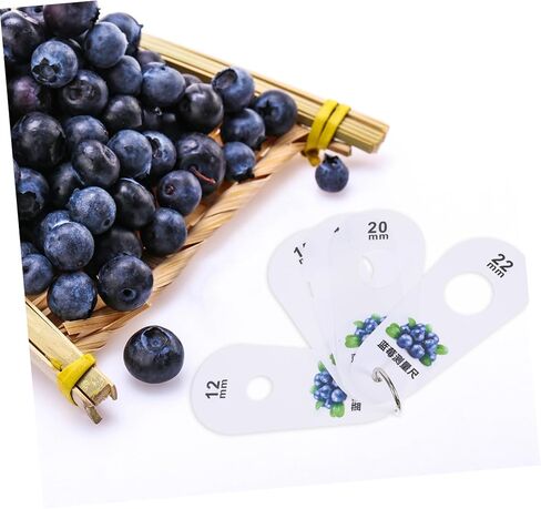 مقياس قياس قطر التوت 5 فتحات للتوت والكرز، أداة مسطرة فواكه دقيقة لاختيار الفاكهة المنزلية، فرجار متعدد الاستخدامات للتحجيم الطازج in Kuwait