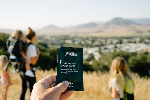 Wildland Poison Oak & Poison Ivy Prevention Wipes | Prevent Rash and Itch Before it Starts | Extremely Effective Urushiol Removal Formula | Lightweight, Individually Wrapped (Box of 12) in Kuwait