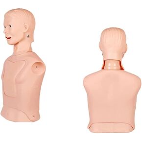 Skeleton Models Teaching Model, Endotracheal Intubation Stomach Tube Model Half-Body Mannequin for Nursing Practice Simulator Manikin Stomach Tube Nasogastric Feeding Training Model in Kuwait