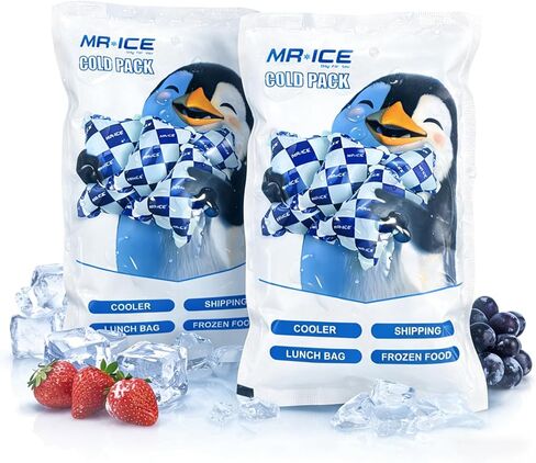 Dry Ice Packs for Shipping Frozen Food - Flexible Ice Blanket for Coolers - Shipping Cold Packs Keep Food Fresh and Beverage Cold - Dry Ice Pack Automatic Water Absorption- 24 Cells Each, 4 Sheets in Kuwait