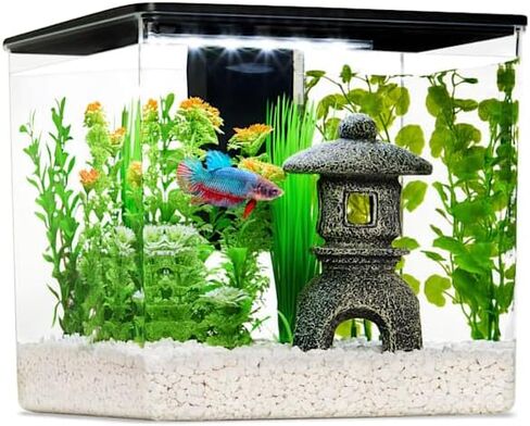 Imagitarium Betta Cube Kit 2.5 جالون in Kuwait