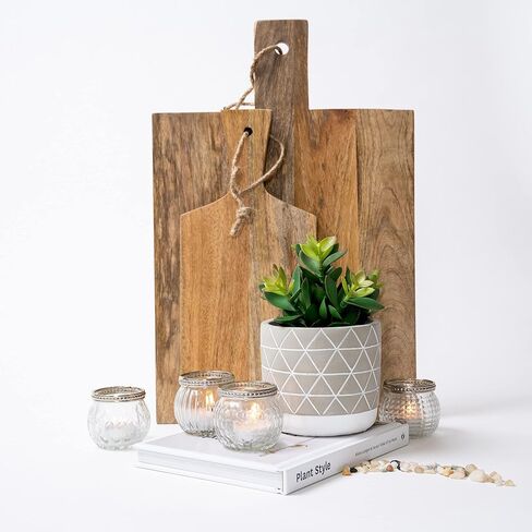 Kurrajong Farmhouse Artificial Plant | 8" Fake Plant for Desk Decor | Artificial Succulent in Pot | Fake Succulent | Faux Plant Indoor | Succulent Plant Artificial | Faux Succulent for Shelf Decor in Kuwait