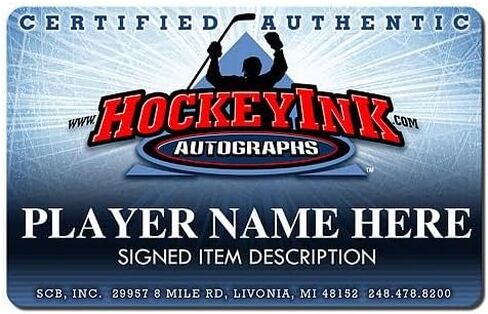 CHRIS OSGOOD Signed Detroit Red Wings Mini Goalie Mask Paint - Autographed NHL Helmets and Masks in Saudi Arabia