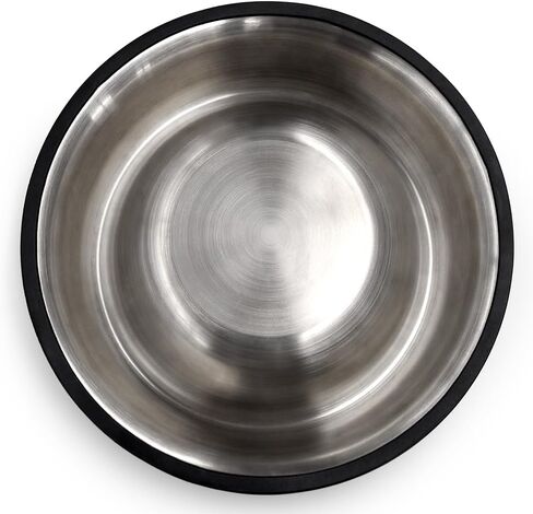 Littlearth NHL Dallas Stars Everyday Pet Bowl، كبير in Saudi Arabia