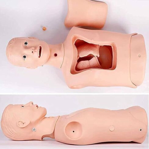 Advanced Nasogastric Gastric Tube Model Multifunctional Tube and Trachea Care Training Manikin for Science Education/Study/Practice in Saudi Arabia