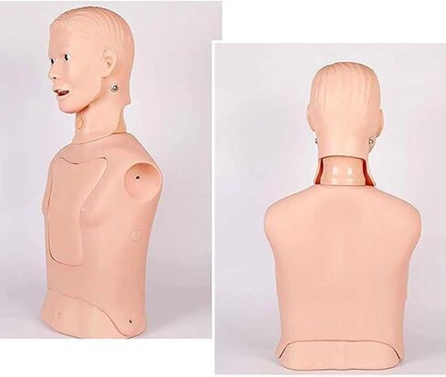 Advanced Nasogastric Gastric Tube Model Multifunctional Tube and Trachea Care Training Manikin for Science Education/Study/Practice in Saudi Arabia