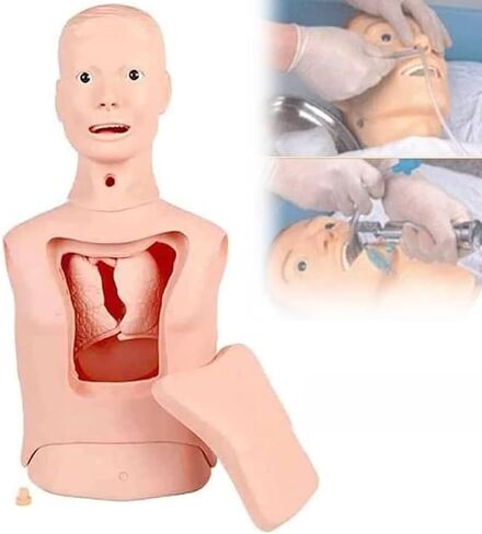 Gastric Tube Model, Advanced Nasogastric Tube and Trachea Care Model, Gastric Lavage Tracheostomy Model, for Nurse and Medical Students in Saudi Arabia