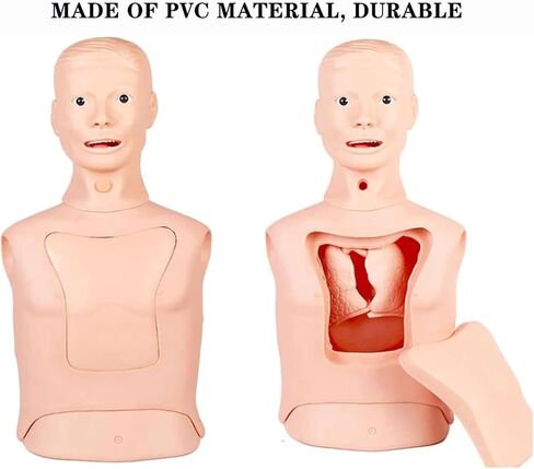Gastric Tube Model, Advanced Nasogastric Tube and Trachea Care Model, Gastric Lavage Tracheostomy Model, for Nurse and Medical Students in Saudi Arabia