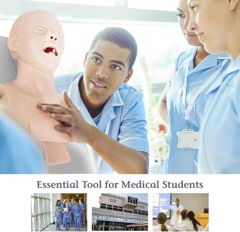 Teaching Model, Manikin Teaching Model,Adult Airway Management Trainer Tracheal Training Simulator Model, Science Lab Education Training in Saudi Arabia
