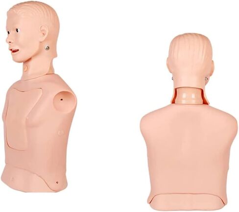 نماذج الهيكل العظمي نموذج التدريس، التنبيب الرغامي نموذج أنبوب المعدة نصف الجسم عارضة أزياء لممارسة التمريض محاكاة القزم أنبوب المعدة نموذج التدريب على التغذية الأنفية المعوية in Kuwait