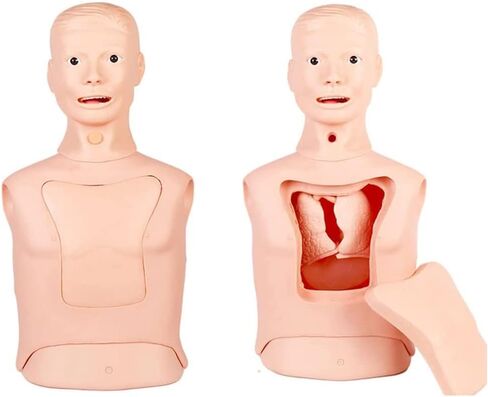 نماذج الهيكل العظمي نموذج التدريس، التنبيب الرغامي نموذج أنبوب المعدة نصف الجسم عارضة أزياء لممارسة التمريض محاكاة القزم أنبوب المعدة نموذج التدريب على التغذية الأنفية المعوية in Kuwait