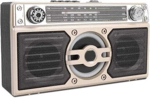 Portable AM FM SW Radio Recorder, Digital Radio with Bluetooth, Retro Radios Vintage Transistor for Seniors, Battery Operated & USB C Rechargeable, Support TF Card (Black) in Saudi Arabia