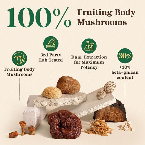 مسحوق مكملات الفطر Fidus 16 مع 17,300 مجم، 90 يومًا، بديل قهوة الفطر للمناعة والتركيز والطاقة مع الأشواغاندا، وعرف الأسد، والشاغا والريشي، والأجسام المثمرة 100% in Kuwait