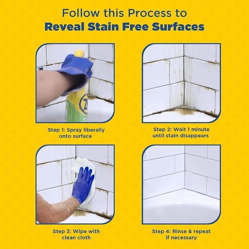 Commercial Mold Stain & Mildew Stain Remover, Quart Bottle, 12 Bt/Case in Saudi Arabia