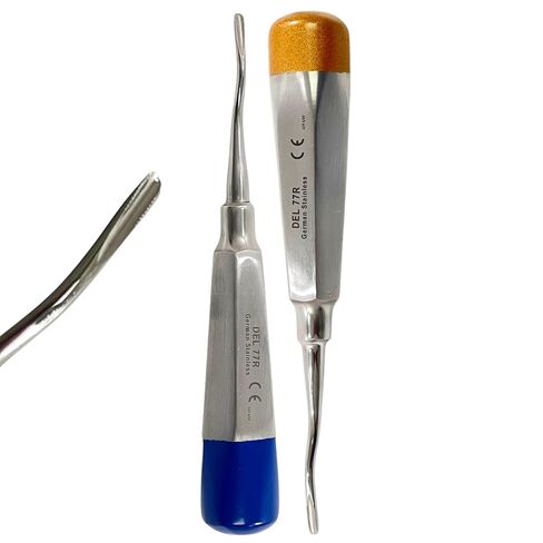مصعد الأسنان Root Pick رقم 77R، طرف مسنن ذو إزاحة طفيفة | مقبض مجوف خفيف الوزن بأطراف ملونة (أزرق وذهبي) | الفولاذ المقاوم للصدأ الألماني (مجموعة من 2) in Saudi Arabia