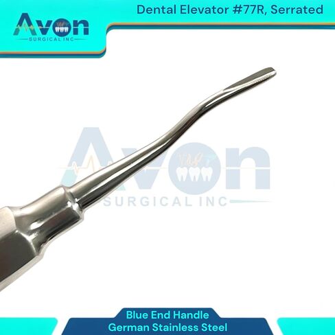 مصعد الأسنان Root Pick رقم 77R، طرف مسنن ذو إزاحة طفيفة | مقبض مجوف خفيف الوزن بأطراف ملونة (أزرق وذهبي) | الفولاذ المقاوم للصدأ الألماني (مجموعة من 2) in Saudi Arabia