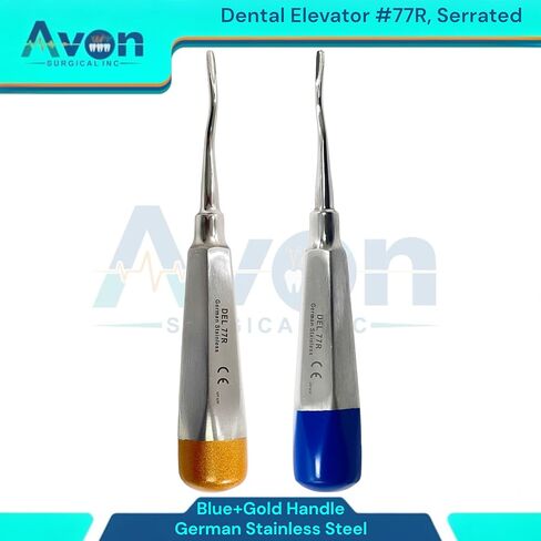 مصعد الأسنان Root Pick رقم 77R، طرف مسنن ذو إزاحة طفيفة | مقبض مجوف خفيف الوزن بأطراف ملونة (أزرق وذهبي) | الفولاذ المقاوم للصدأ الألماني (مجموعة من 2) in Saudi Arabia