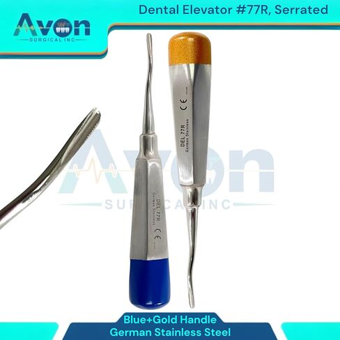 مصعد الأسنان Root Pick رقم 77R، طرف مسنن ذو إزاحة طفيفة | مقبض مجوف خفيف الوزن بأطراف ملونة (أزرق وذهبي) | الفولاذ المقاوم للصدأ الألماني (مجموعة من 2) in Saudi Arabia